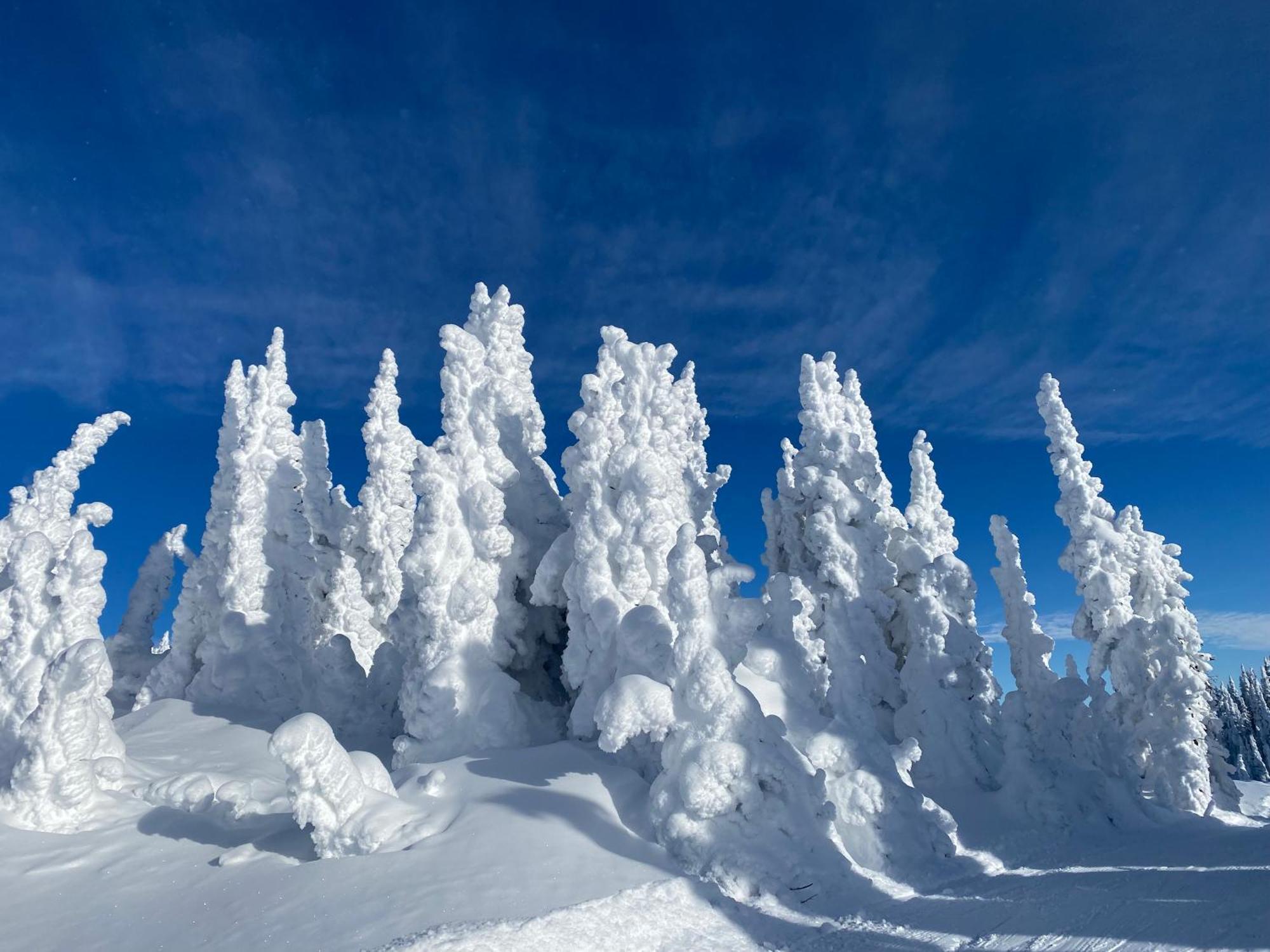 Morrisey Chalet At Sun Peaks Bagian luar foto