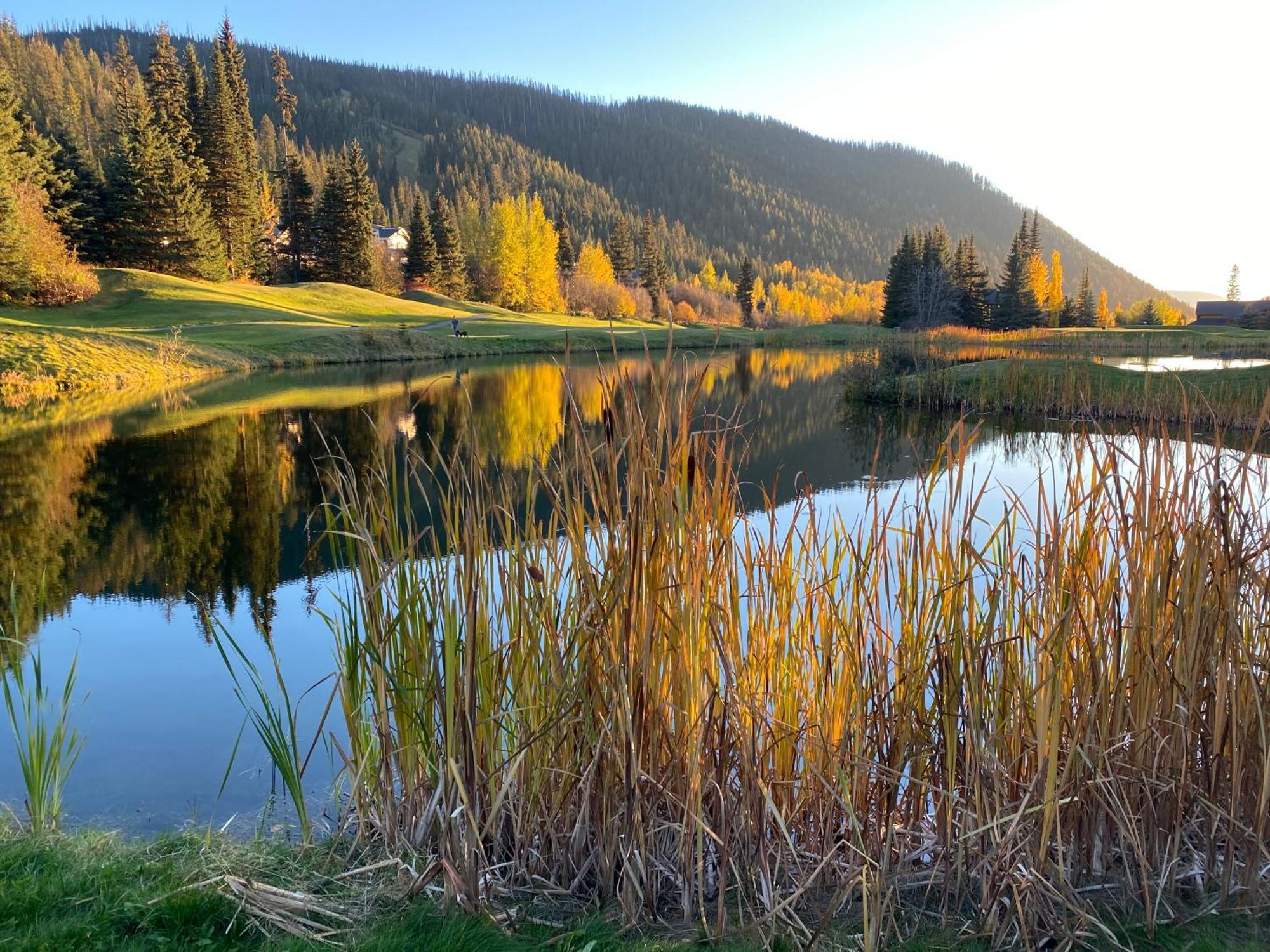Morrisey Chalet At Sun Peaks Bagian luar foto